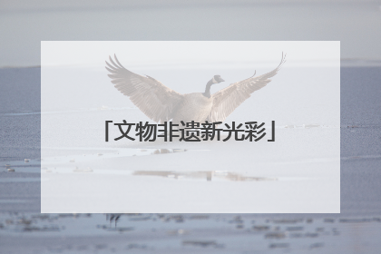文物非遗新光彩