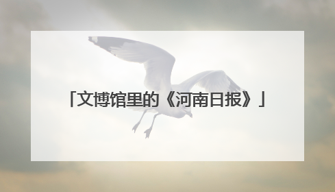 文博馆里的《河南日报》