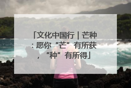 文化中国行｜芒种：愿你“芒”有所获，“种”有所得