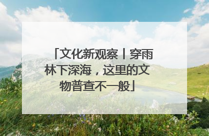 文化新观察丨穿雨林下深海，这里的文物普查不一般