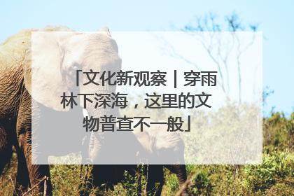 文化新观察｜穿雨林下深海，这里的文物普查不一般