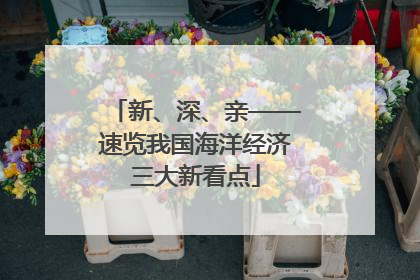 新、深、亲——速览我国海洋经济三大新看点