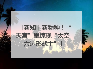 新知｜新物种！“天宫”里惊现“太空六边形战士”