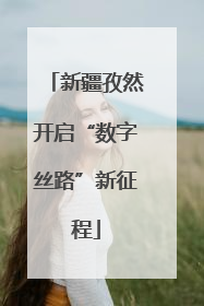 新疆孜然开启“数字丝路”新征程