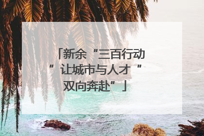 新余“三百行动”让城市与人才“双向奔赴”