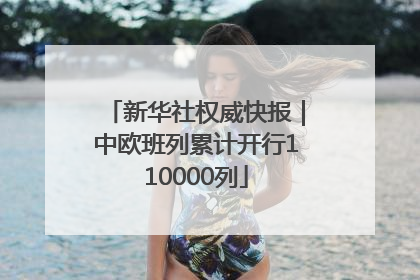 新华社权威快报｜中欧班列累计开行110000列