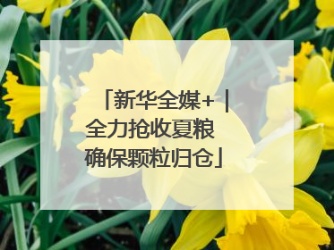 新华全媒+｜全力抢收夏粮 确保颗粒归仓