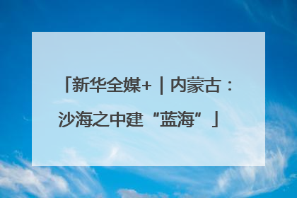 新华全媒+｜内蒙古：沙海之中建“蓝海”