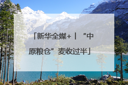新华全媒+丨“中原粮仓”麦收过半