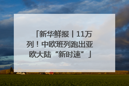 新华鲜报丨11万列！中欧班列跑出亚欧大陆“新时速”