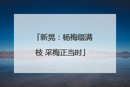 新晃：杨梅缀满枝 采梅正当时