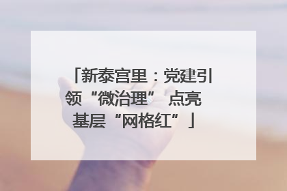 新泰宫里：党建引领“微治理” 点亮基层“网格红”