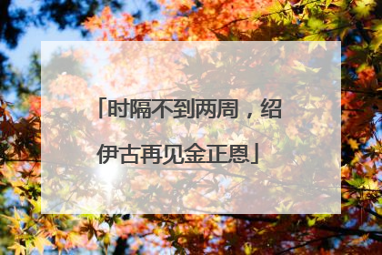 时隔不到两周，绍伊古再见金正恩