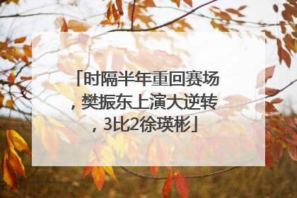 时隔半年重回赛场，樊振东上演大逆转，3比2徐瑛彬