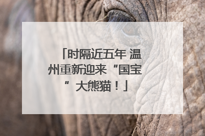 时隔近五年 温州重新迎来“国宝”大熊猫！