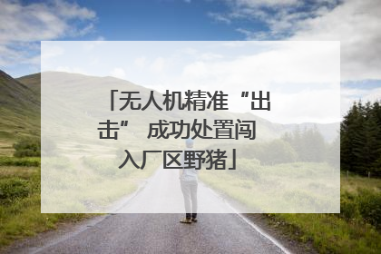 无人机精准“出击” 成功处置闯入厂区野猪