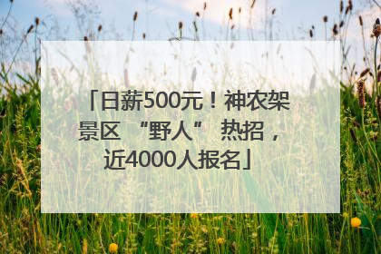日薪500元！神农架景区 “野人” 热招，近4000人报名