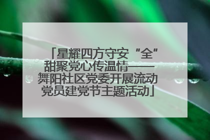 星耀四方守安“全” 甜聚党心传温情——舞阳社区党委开展流动党员建党节主题活动