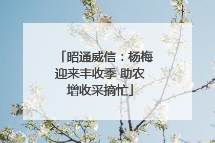 昭通威信：杨梅迎来丰收季 助农增收采摘忙