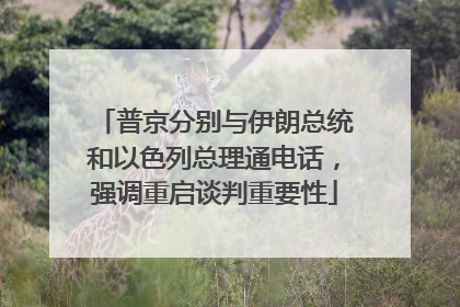 普京分别与伊朗总统和以色列总理通电话，强调重启谈判重要性