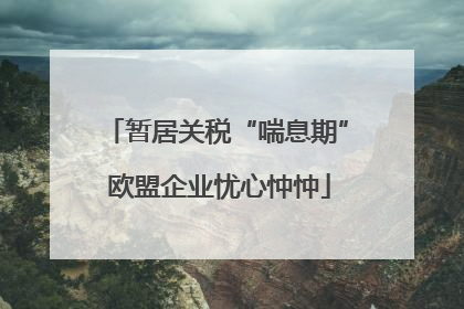 暂居关税“喘息期” 欧盟企业忧心忡忡