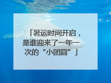暑运时间开启，是谁迎来了一年一次的“小团圆”