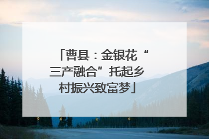 曹县：金银花“三产融合”托起乡村振兴致富梦