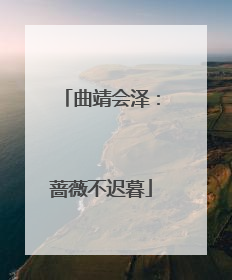 曲靖会泽：蔷薇不迟暮