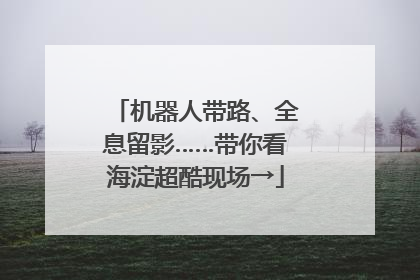 机器人带路、全息留影……带你看海淀超酷现场→