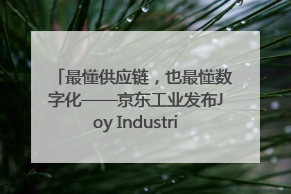 最懂供应链，也最懂数字化——京东工业发布Joy Industrial 重塑工业未来