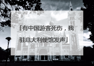 有中国游客死伤，我驻意大利使馆发声