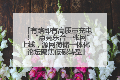 有路即有高质量充电！“点亮东台一张网”上线，源网荷储一体化论坛聚焦低碳转型
