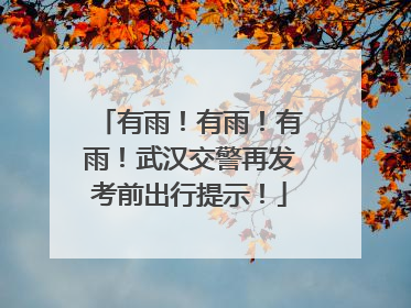 有雨！有雨！有雨！武汉交警再发考前出行提示！