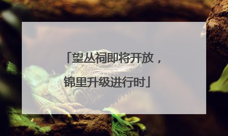 望丛祠即将开放，锦里升级进行时