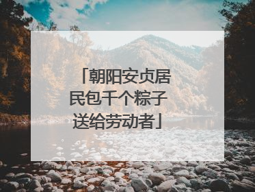 朝阳安贞居民包千个粽子送给劳动者