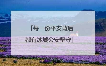 每一份平安背后 都有冰城公安坚守