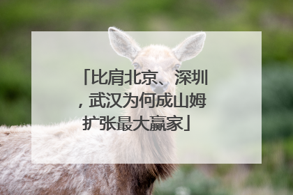 比肩北京、深圳，武汉为何成山姆扩张最大赢家