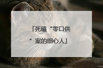 死磕“零口供”案的细心人