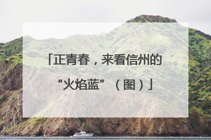 正青春，来看信州的“火焰蓝”（图）