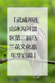 武威祁连山冰沟河景区第二届马兰花文化嘉年华启幕