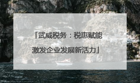 武威税务：税惠赋能 激发企业发展新活力