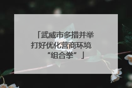 武威市多措并举打好优化营商环境“组合拳”