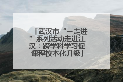武汉市“三走进”系列活动走进江汉：跨学科学习促课程校本化升级