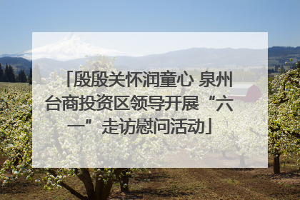 殷殷关怀润童心 泉州台商投资区领导开展“六一”走访慰问活动
