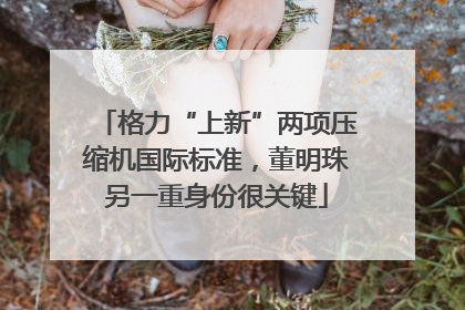 格力“上新”两项压缩机国际标准，董明珠另一重身份很关键