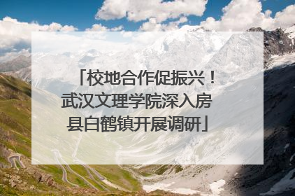 校地合作促振兴！武汉文理学院深入房县白鹤镇开展调研