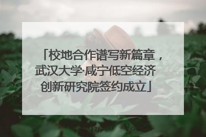 校地合作谱写新篇章，武汉大学·咸宁低空经济创新研究院签约成立