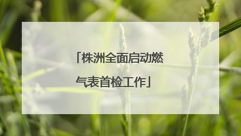 株洲全面启动燃气表首检工作