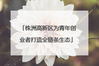 株洲高新区为青年创业者打造全链条生态