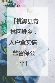 桃源县青林回维乡：入户查实情 监督保公平